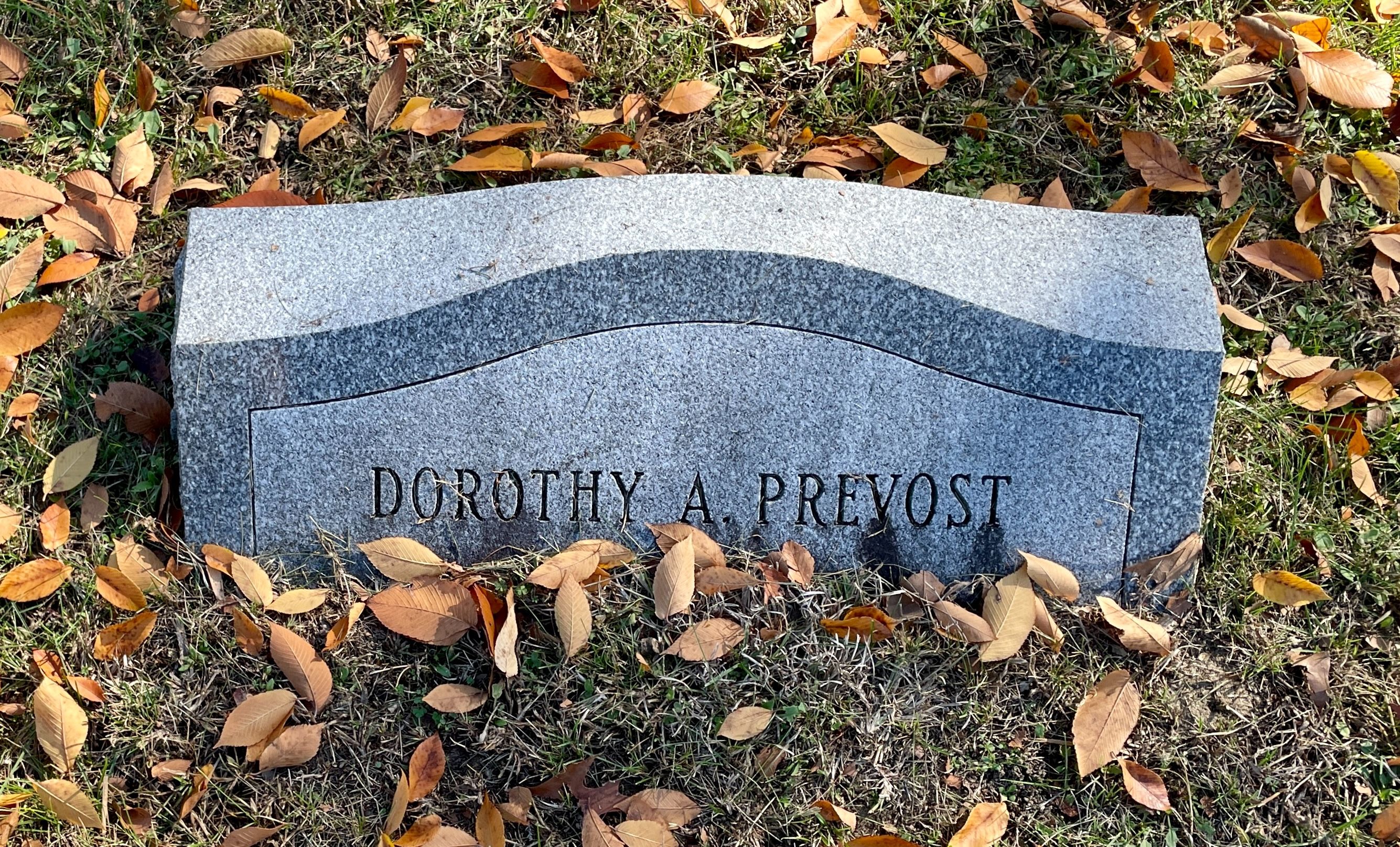 Dorothy Carlisle (Alleyne) Provost grave
