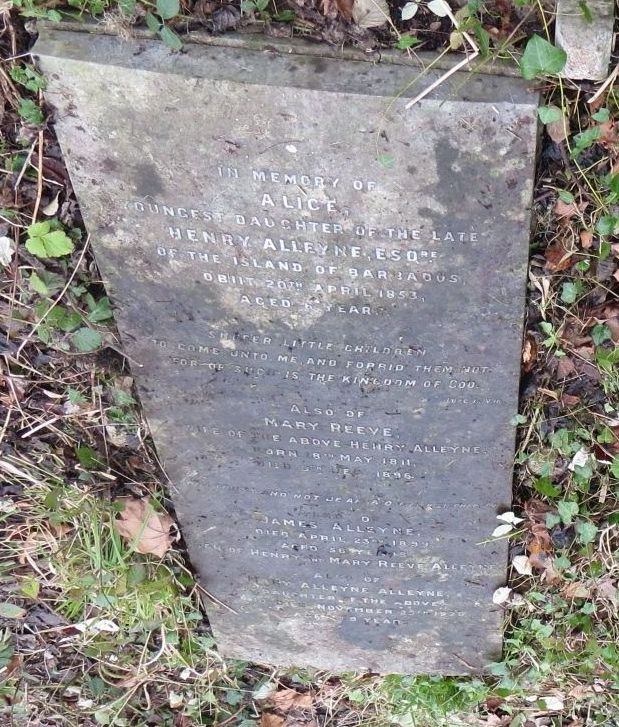 Mary Reeve (James), Alice & James Alleyne grave