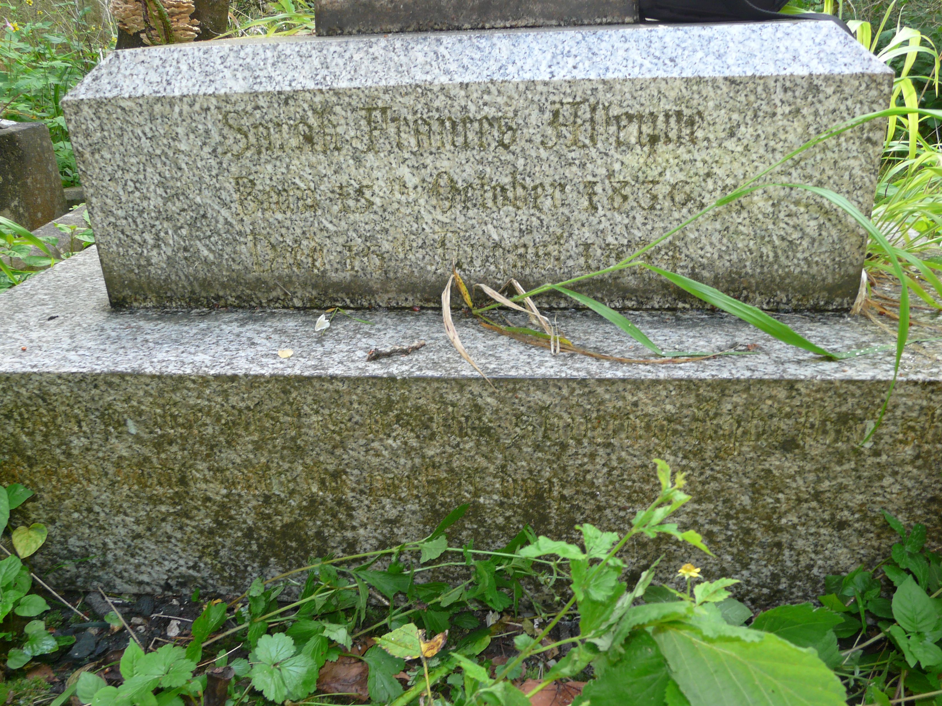 Sarah Frances Alleyne grave