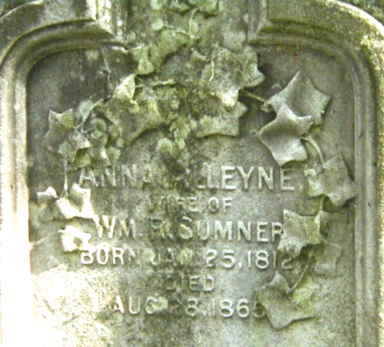 Anna Alleyne (Chickering) Sumner grave